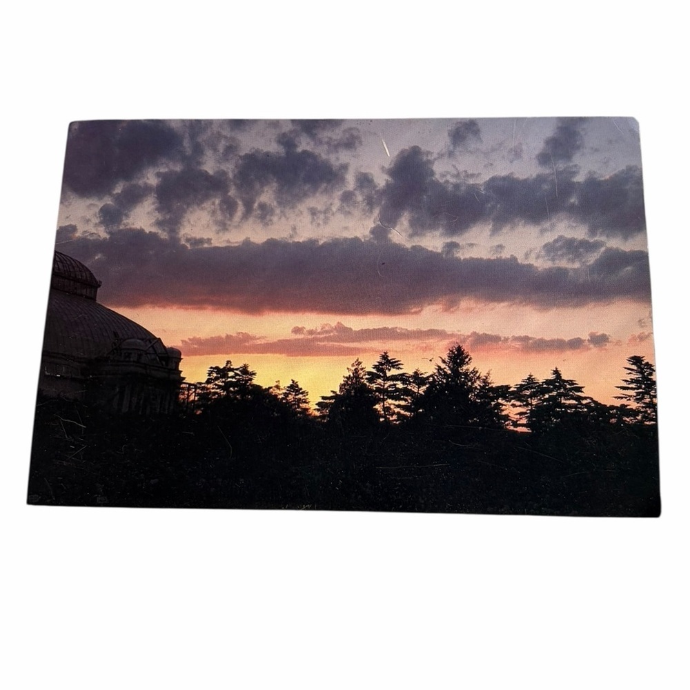 Dramatic Sunset Silhouette Postcard / Print – Trees & Dome Architecture